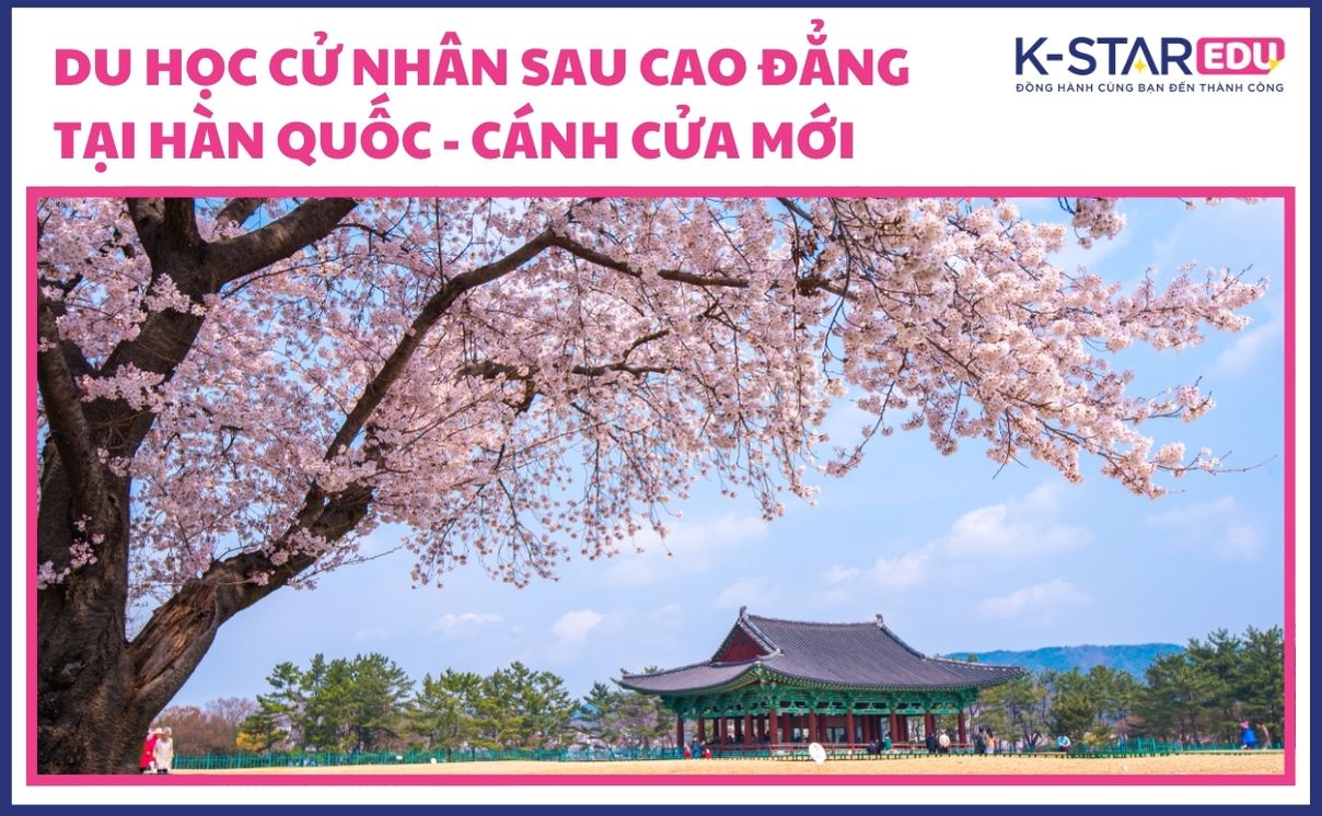 Du học cử nhân sau cao đẳng Hàn Quốc