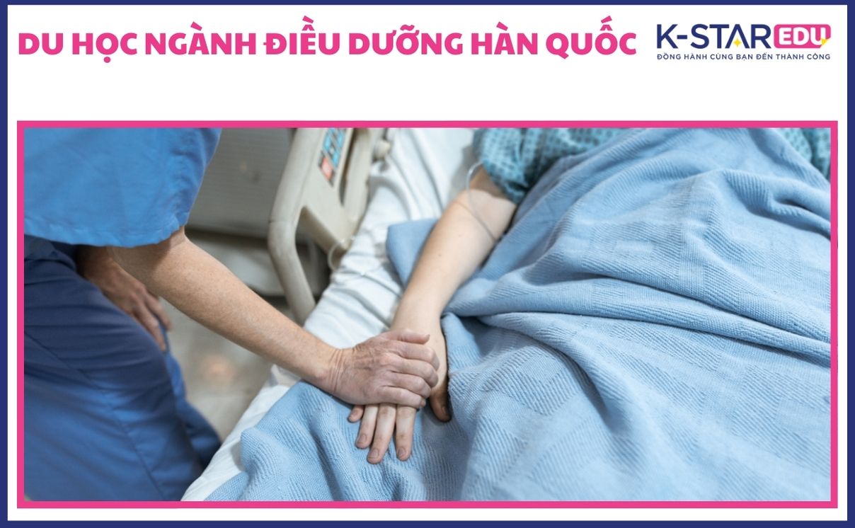 du học ngành điều dưỡng hàn quốc